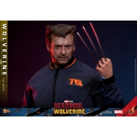 [Pre-Order] Hot Toys - MMS756 - Deadpool & Wolverine - 1/6th scale Wolverine (TVA Jacket Version) Collectible Figure