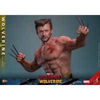 [Pre-Order] Hot Toys - MMS756 - Deadpool & Wolverine - 1/6th scale Wolverine (TVA Jacket Version) Collectible Figure