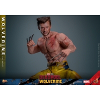 [Pre-Order] Hot Toys - MMS756 - Deadpool & Wolverine - 1/6th scale Wolverine (TVA Jacket Version) Collectible Figure