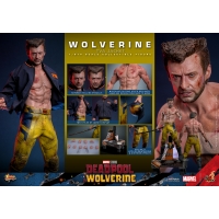 [Pre-Order] Hot Toys - MMS756 - Deadpool & Wolverine - 1/6th scale Wolverine (TVA Jacket Version) Collectible Figure