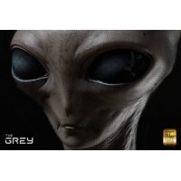 Elite Creature Collectibles  - The Grey Life Size Bust