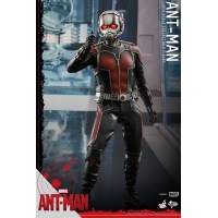 Hot Toys - Ant-Man