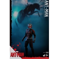 Hot Toys - Ant-Man