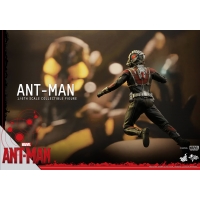 Hot Toys - Ant-Man