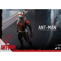 Hot Toys - Ant-Man