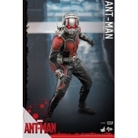 Hot Toys - Ant-Man