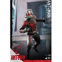 Hot Toys - Ant-Man