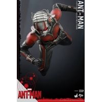 Hot Toys - Ant-Man