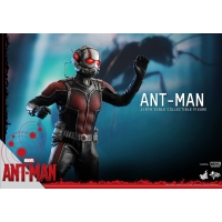 Hot Toys - Ant-Man