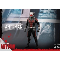 Hot Toys - Ant-Man