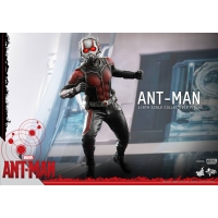 Hot Toys - Ant-Man