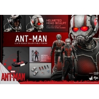 Hot Toys - Ant-Man