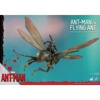 Hot Toys - ANT-MAN ON FLYING ANT