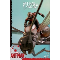 Hot Toys - ANT-MAN ON FLYING ANT