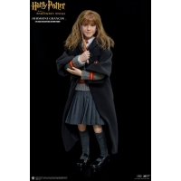 Star Ace Toys - Harry Potter - HERMIONE GRANGER 