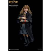 Star Ace Toys - Harry Potter - HERMIONE GRANGER 