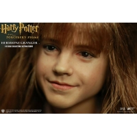 Star Ace Toys - Harry Potter - HERMIONE GRANGER 